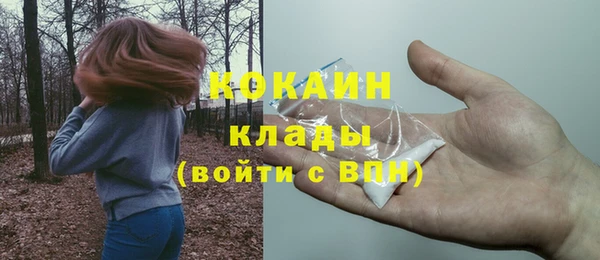 мяу мяу мука Аркадак