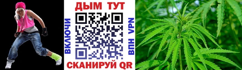 закладка  Облучье  Каннабис гибрид 